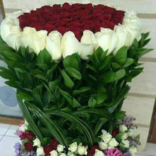 Зинаида, г. Черкесск