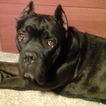 Александр, г. Москва