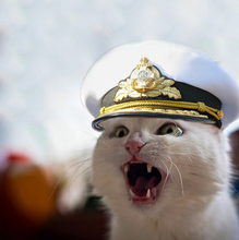 Вадим, г. Калининград