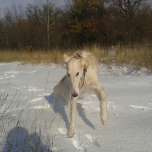 Людмила, г. Саратов
