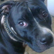 Олег, г. Новосибирск