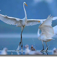 Гость_2155155, г. Трехгорный