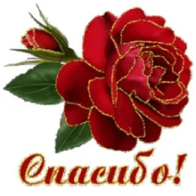 Никифорова эльвира гусмановна, г. Нижнекамск