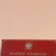  Зельман Екатерина Андреевна, г. Санкт-Петербург