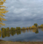 Юлия Cергеевна