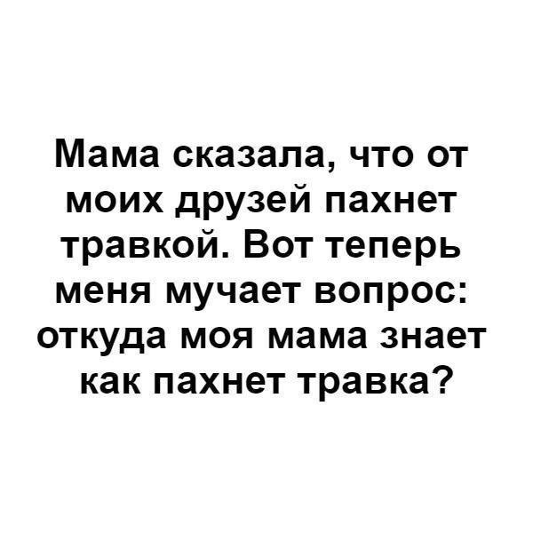 Кореш запах. Стихотворение плещеева травка зеленеет. А степная трава текст. Песня откуда полицейский знает как пахнет трава. Песня откуда полицейский знает как пахнет трава.