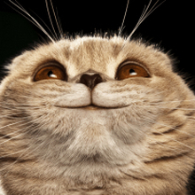 Начальник юридического отдела Королева Юлия Александровна, г. Пермь