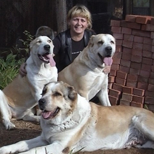 Лариса, г. Сыктывкар