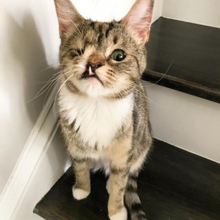  Свечников Артем Эдуардович, г. Уфа