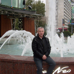 юрист Голубцов В.В.