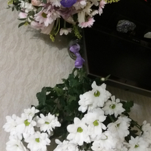  Романова Анастасия Алексеевна, г. Екатеринбург