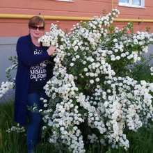 Наталья, г. Калуга