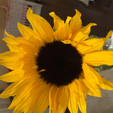 Юля, г. Видное