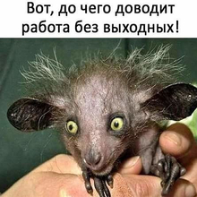 Дмитрий Геннадьевич, г. Абаза