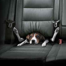 Александр Бъ (СПб.), г. Санкт-Петербург