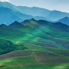 Evgenei, г. Санкт-Петербург