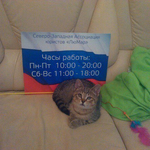 юрист "Северо-Западная Ассоциация юристов "ЛюМар"