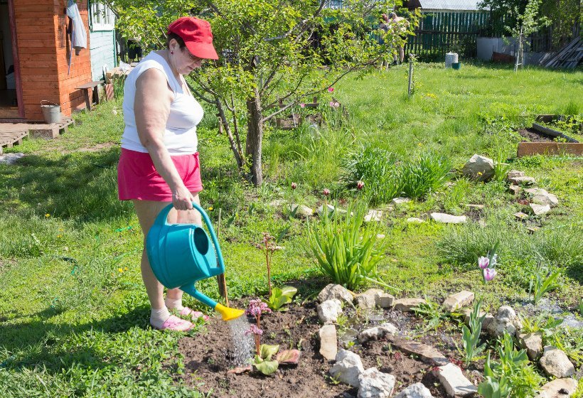Бесплатный земельный участок: кто и как может его получить
