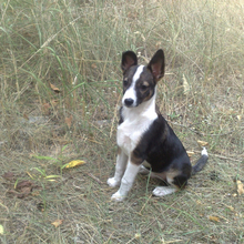 Сергей, г. Донецк