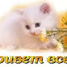 Нелли, г. Киров