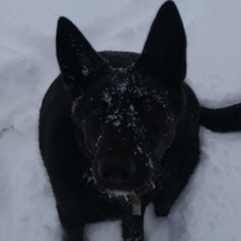 Амалия, г. Надым