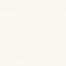 Начальник юридического отдела Яшина Дарья Алексеевна, г. Москва