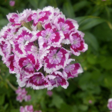 Любовь Борисовна, г. Москва