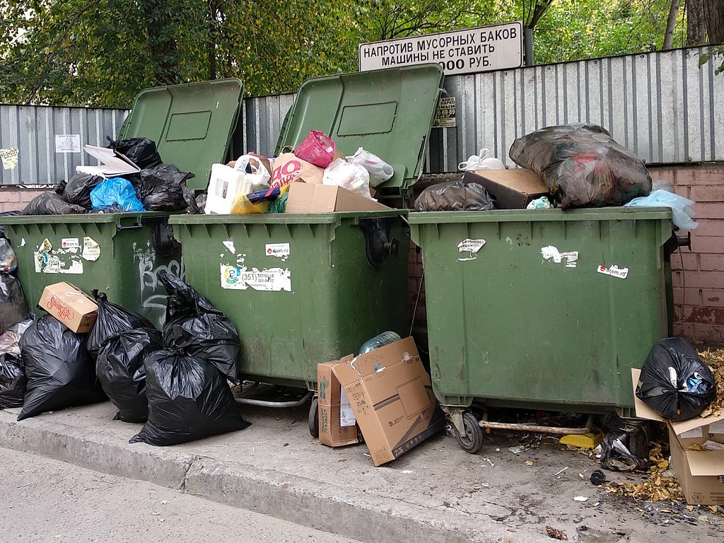 Фото помойки в городе