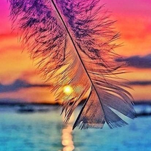 Анна, г. Ростов-на-Дону