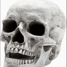 Самохин Николай, г. Москва