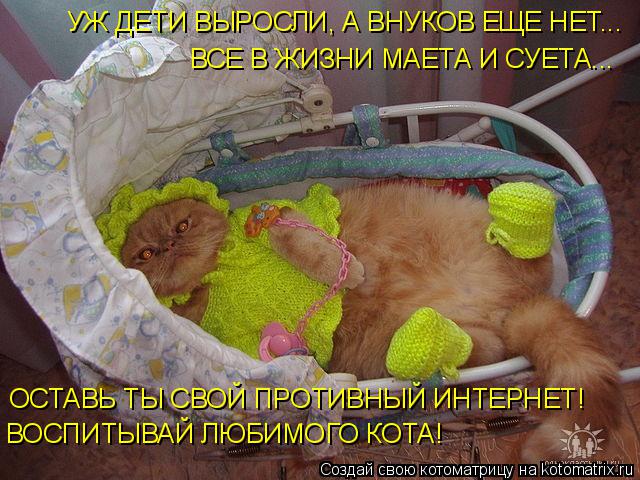 Без кошек жить нельзя на свете, нет!