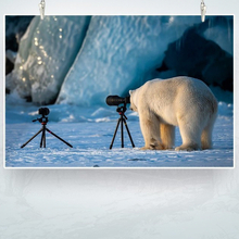 Константин, г. Санкт-Петербург