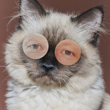 Игорь, г. Санкт-Петербург