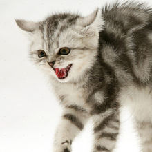 Денис, г. Архангельск