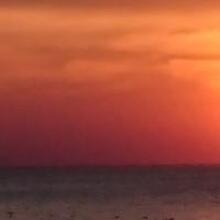 Юлия, г. Псков