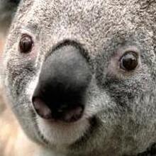 Надежда, г. Тверь