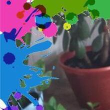 Елена, г. Печора