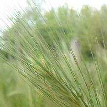 Светлана, г. Ялта