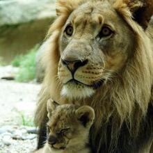 Юрий, г. Калининград