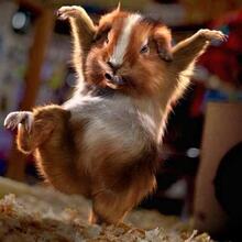 Алексей, г. Воркута