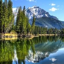 Ольга, г. Москва