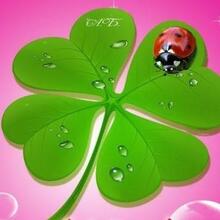 Юлия, г. Липецк