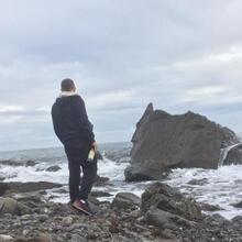 Юрист Веселов Андрей Сергеевич, г. Санкт-Петербург