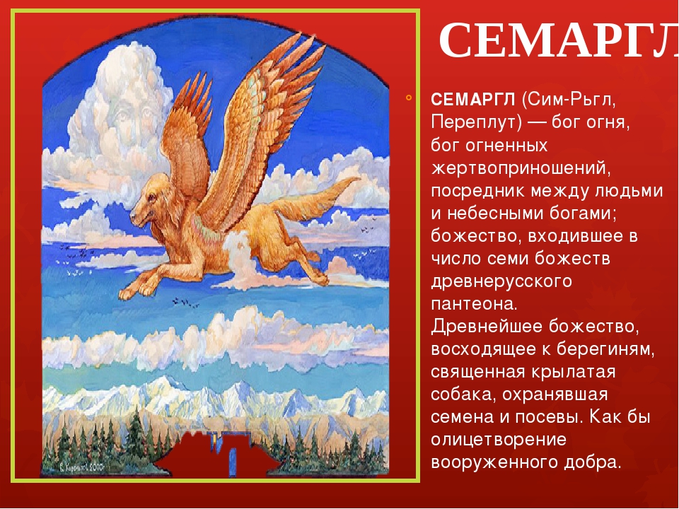 чем травят котов догхантеры. Смотреть фото чем травят котов догхантеры. Смотреть картинку чем травят котов догхантеры. Картинка про чем травят котов догхантеры. Фото чем травят котов догхантеры