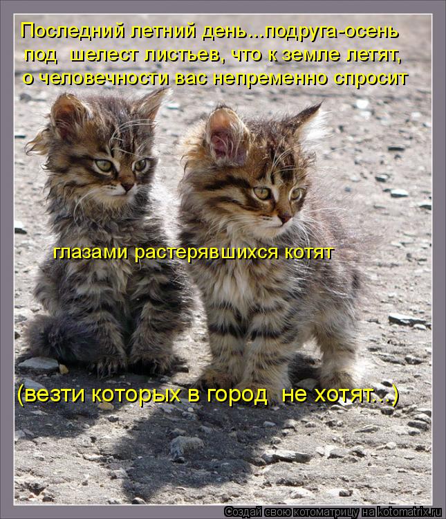 Ежегодная публикация в конце лета " Вы никого не " забыли" на даче?"