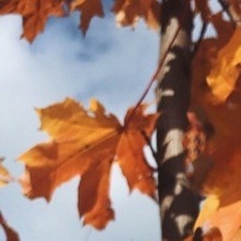 Женя, г. Нижний Новгород