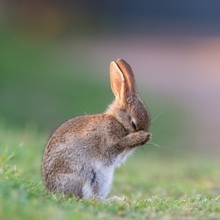 Евгений, г. Кострома