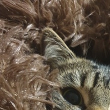 Любовь Игоревна, г. Николаевск-на-Амуре