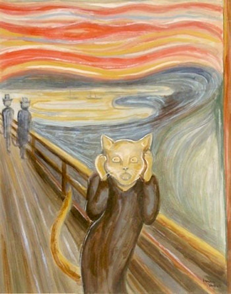 Крик кота