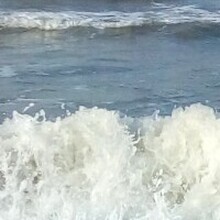 Мария, г. Дмитриевка